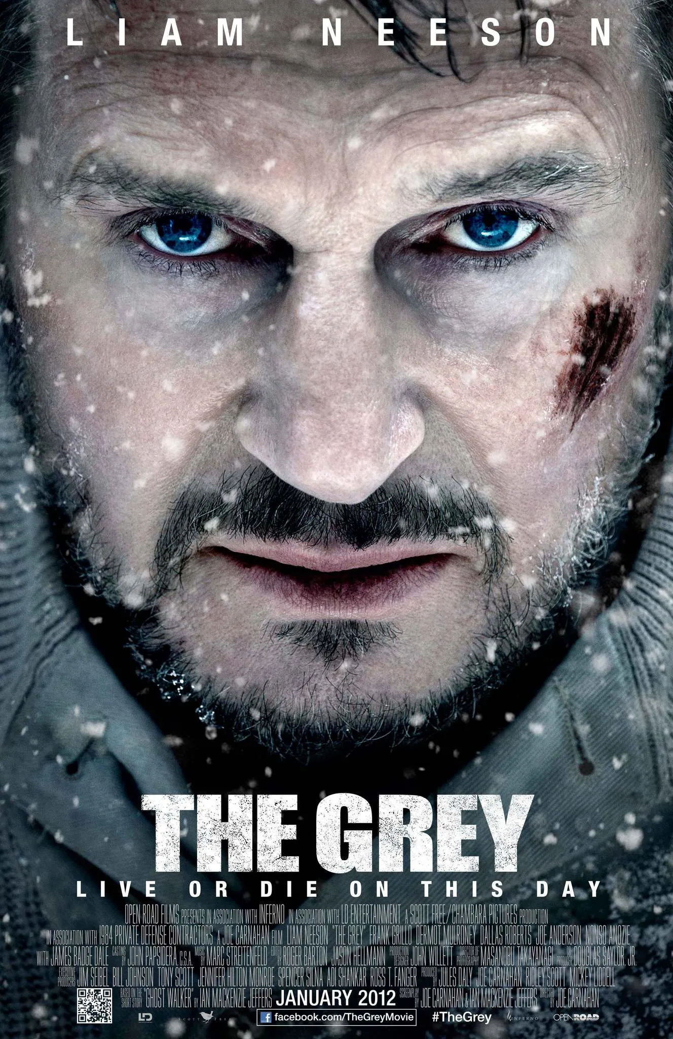  فیلم The Grey 2011