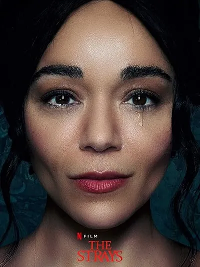  فیلم The Strays 2023