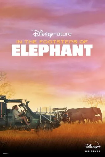  فیلم In the Footsteps of Elephant 2020