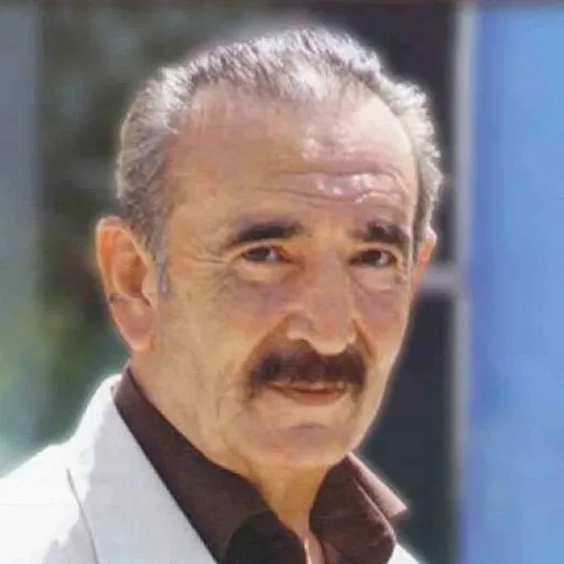 بیوک میرزایی